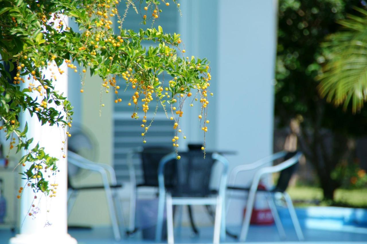 Taitung Wei Feng Jia Yuan B&B מראה חיצוני תמונה
